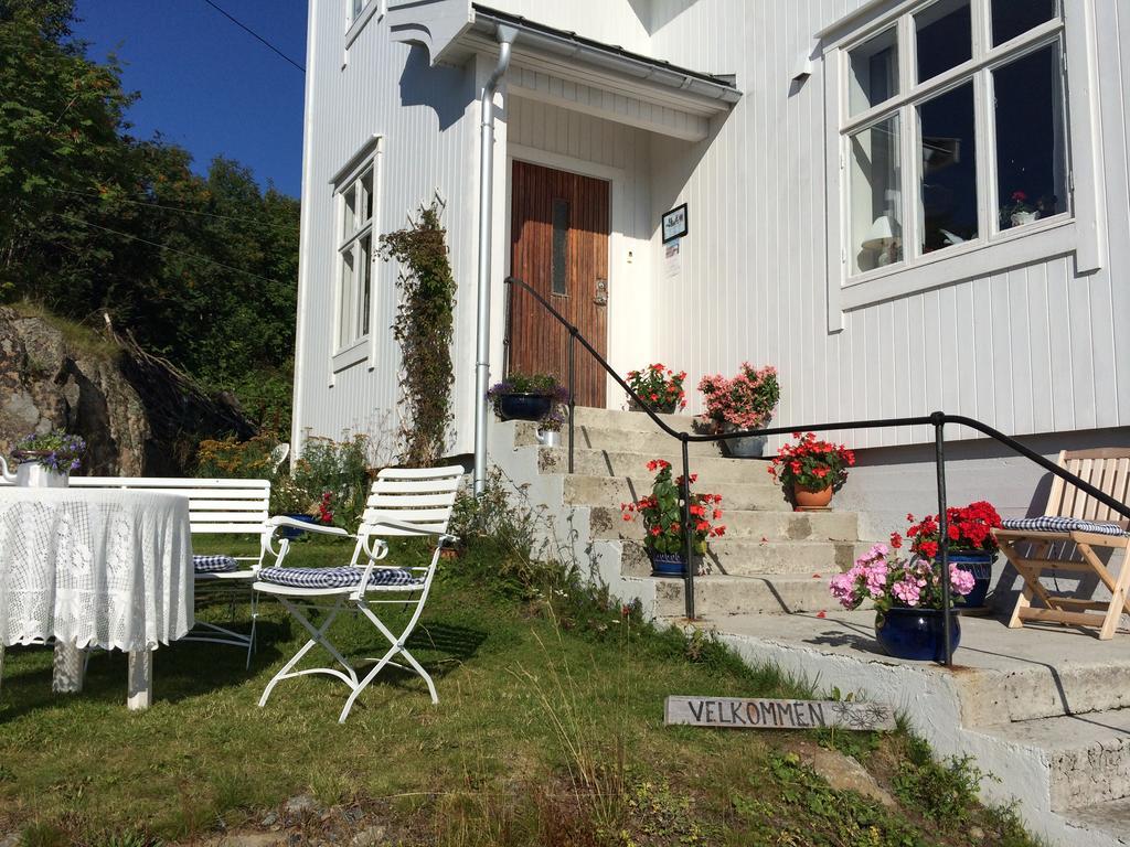 Hotel Skagakaia Bo i Vesteralen Exteriér fotografie